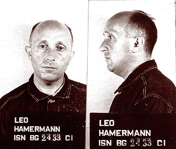 Leo Hamermann